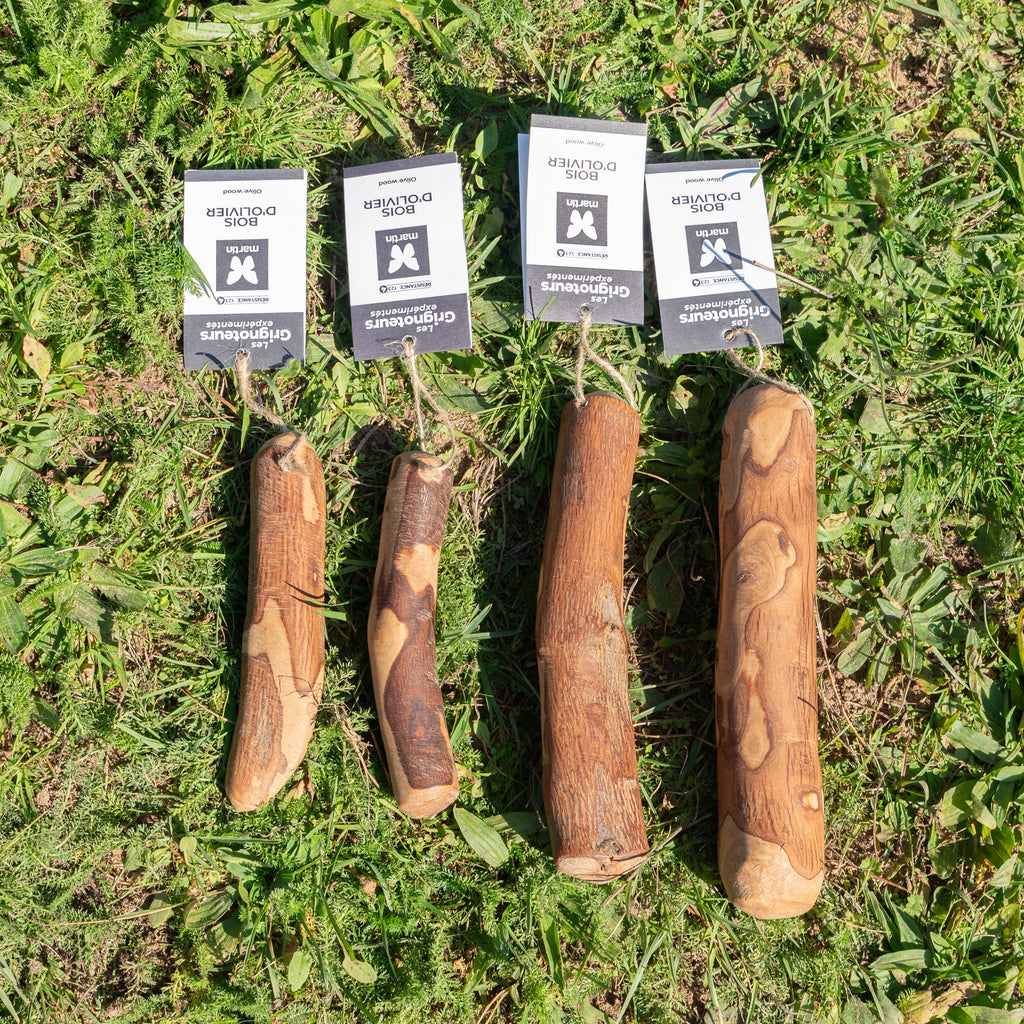 Bois d'olivier pour chien