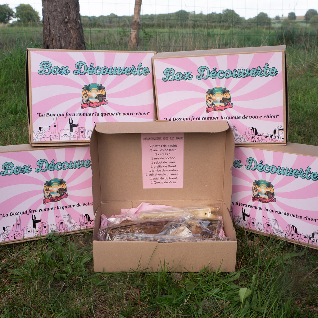 Box découverte
