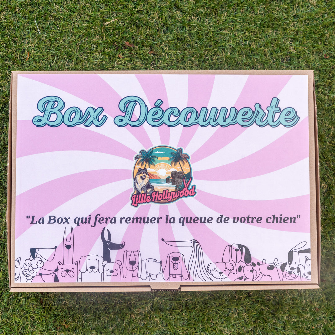 Box découverte