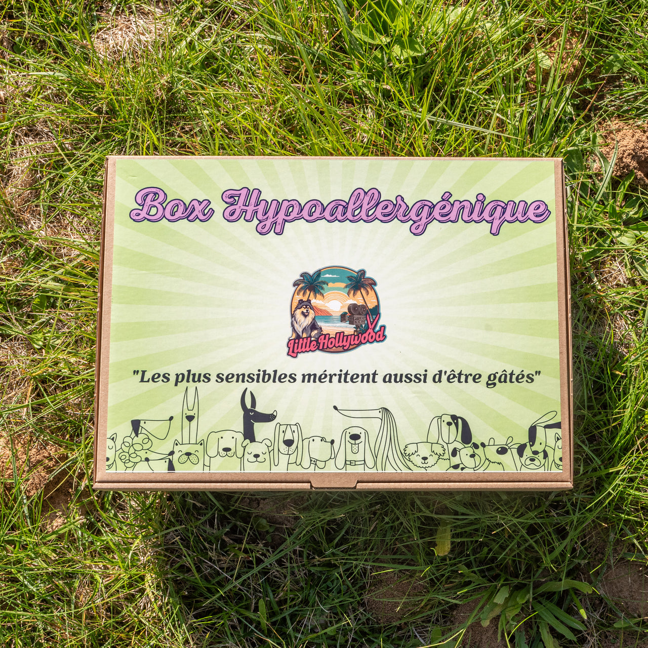 Box Hypoallergénique