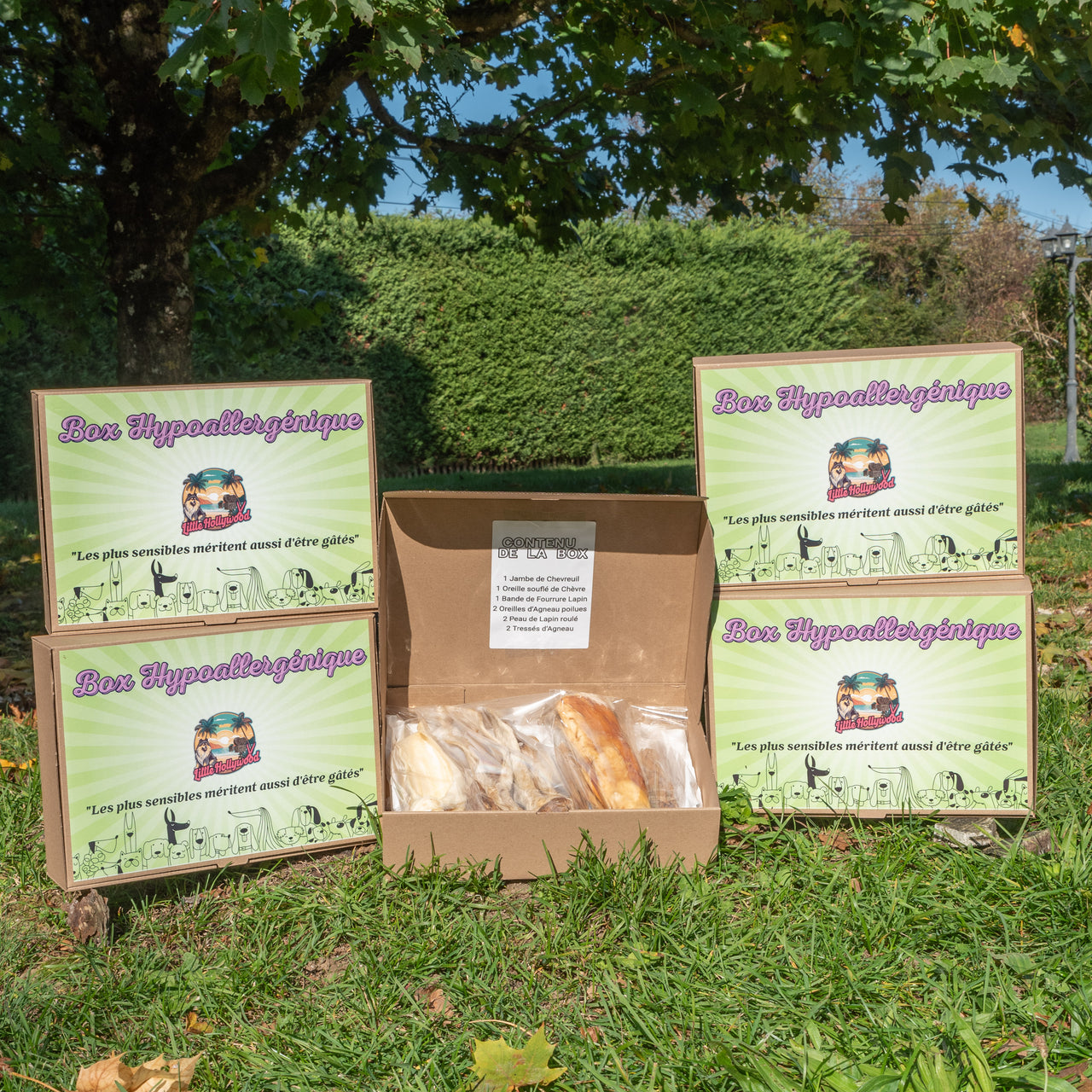 Box Hypoallergénique