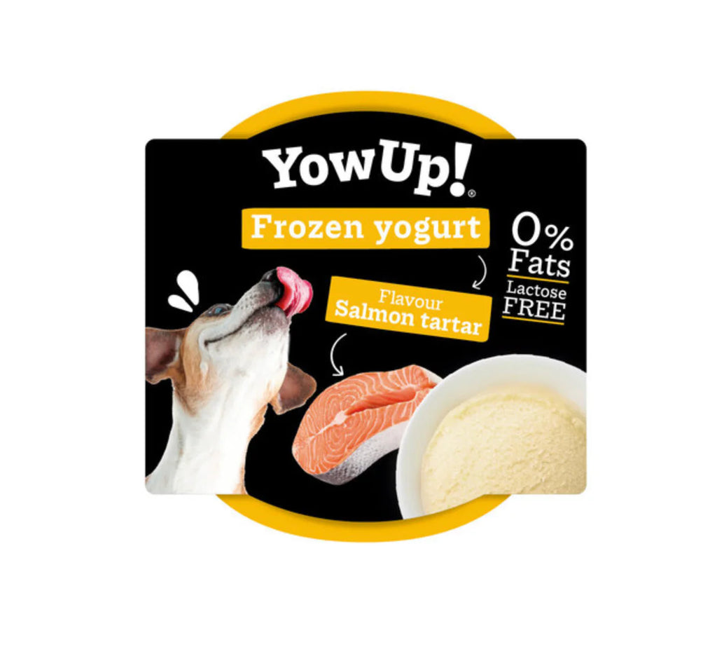 YowUP - Yaourt glacé saumon pour chien