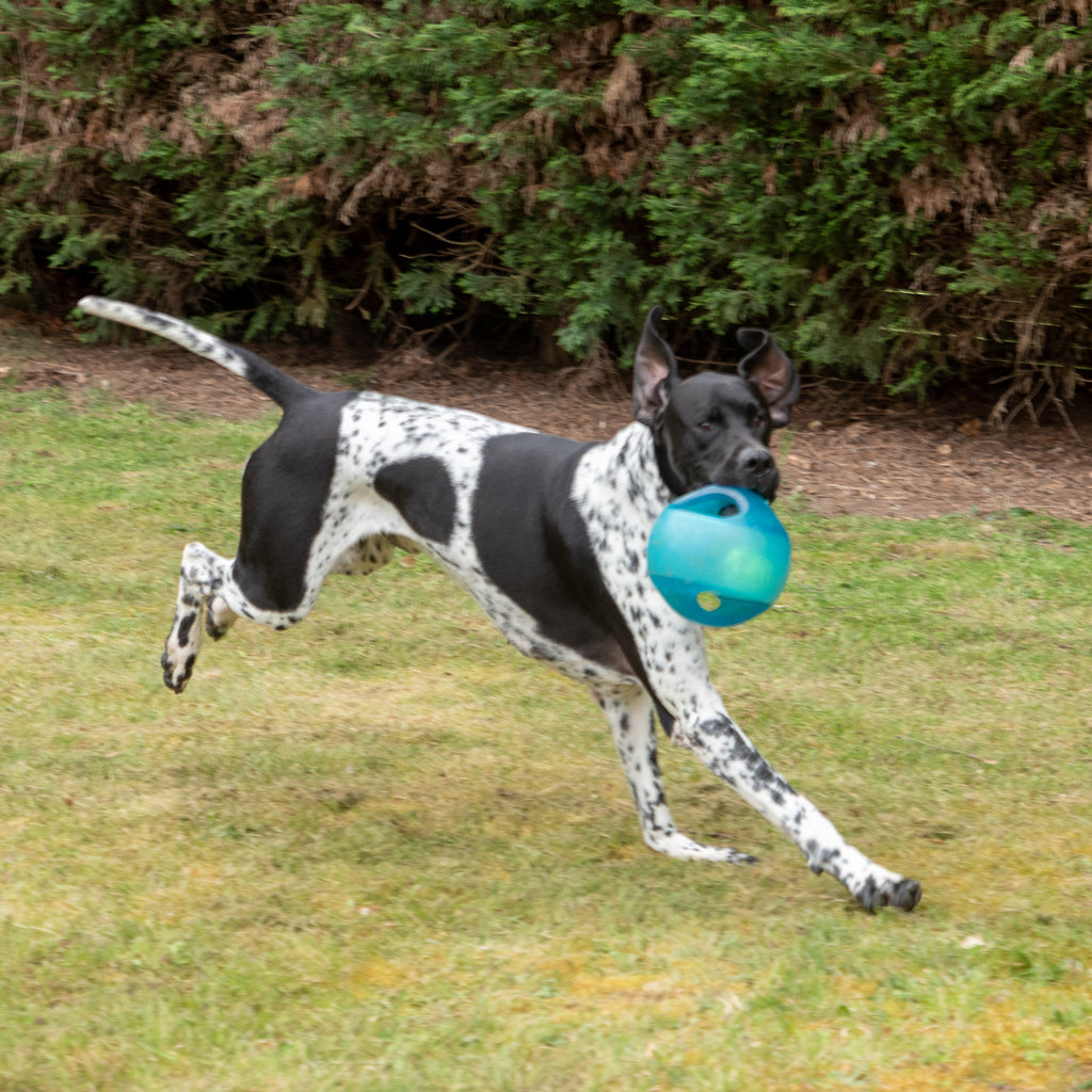 KONG Jumbler Ball