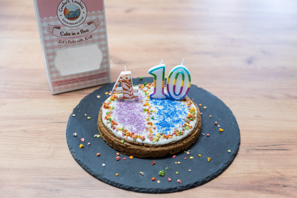 Gâteau en Boîte pour chiens Krill