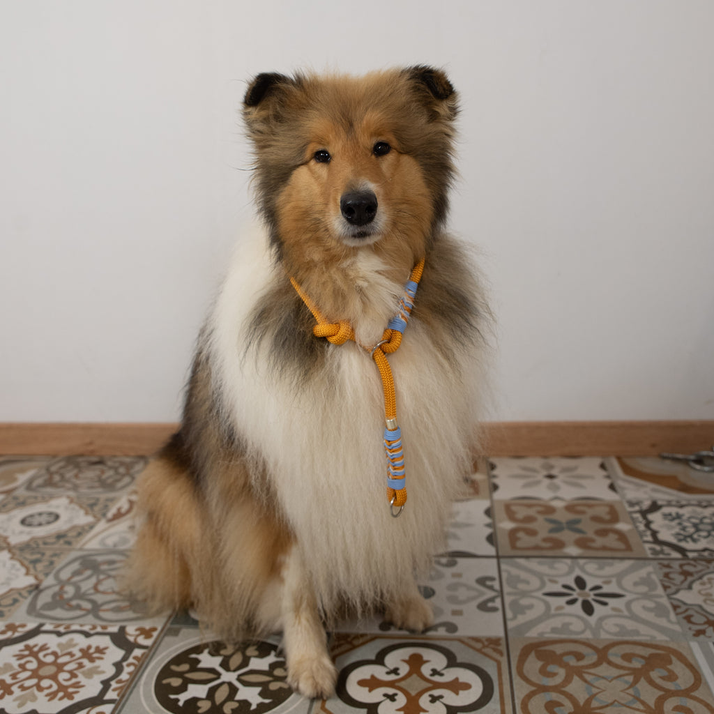 Collier Lasso "Maldivas"