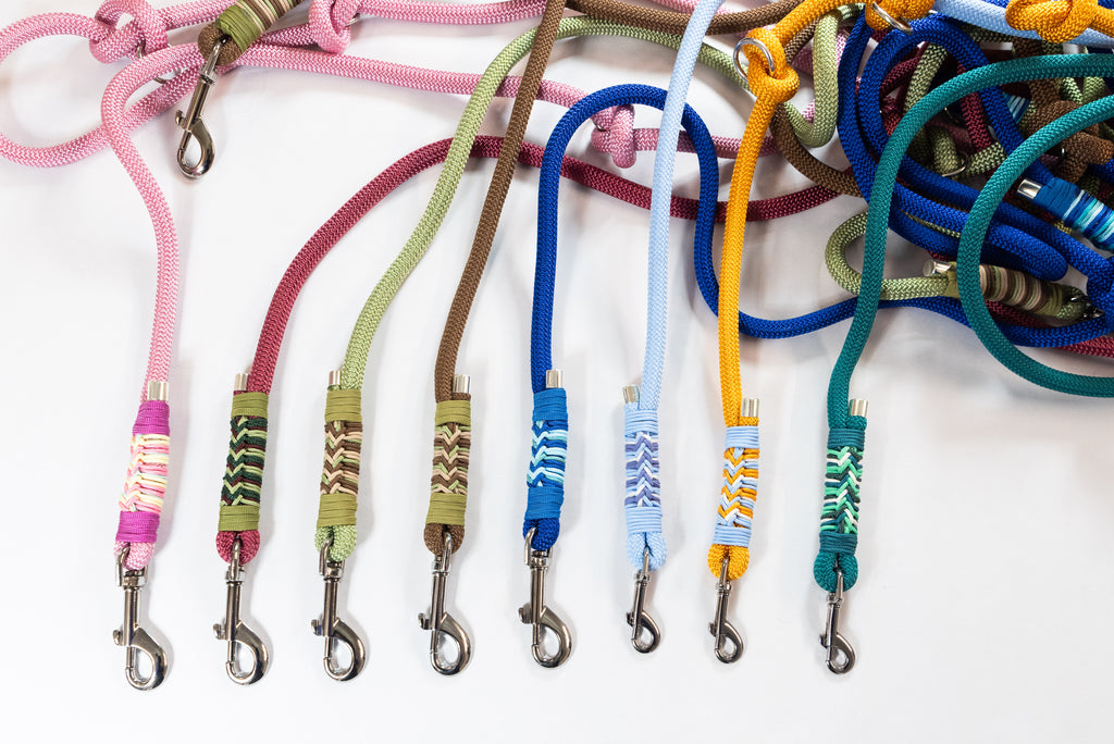 Duo Laisse Triple point + Collier Lasso "Patagonia"