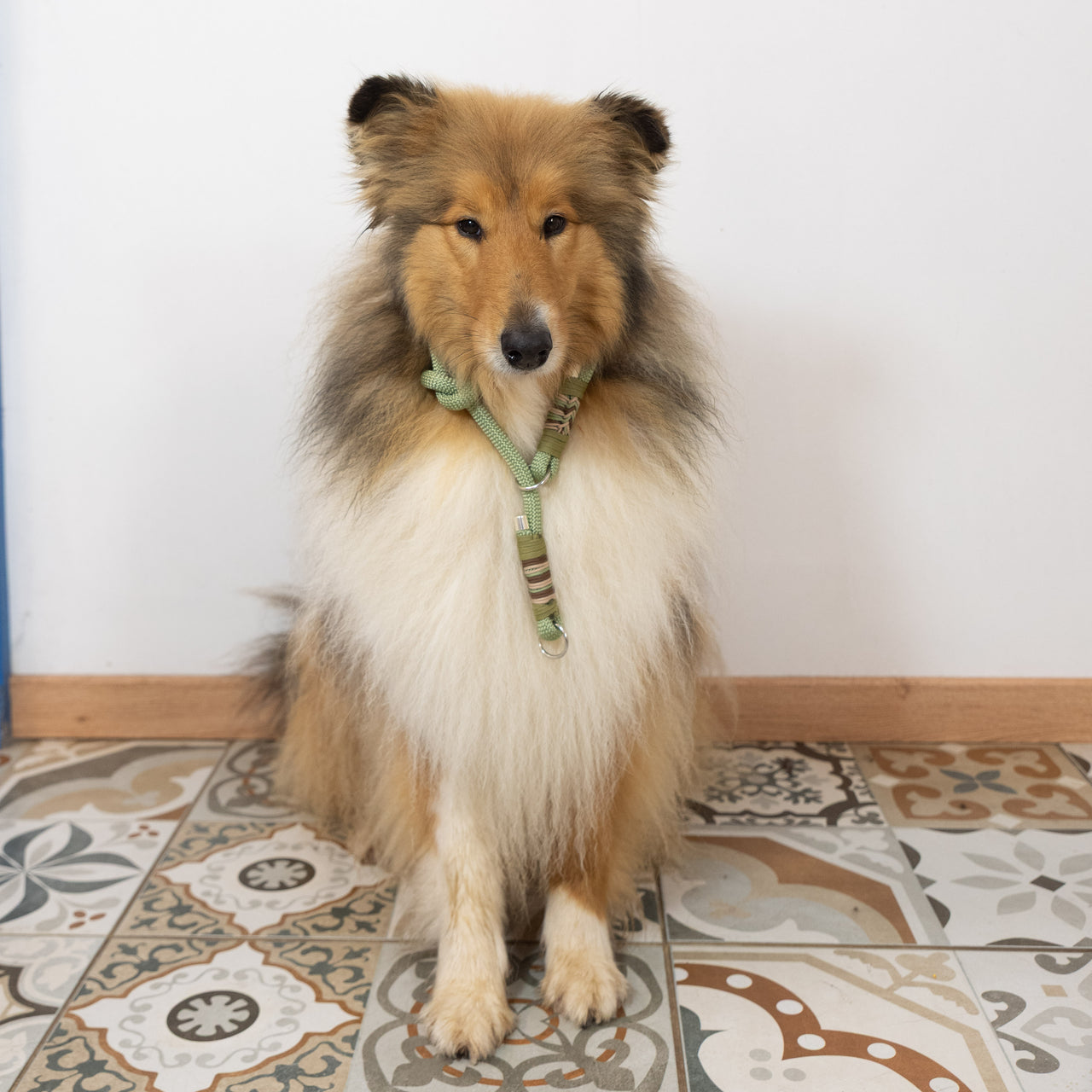 Collier Lasso "Tropic"