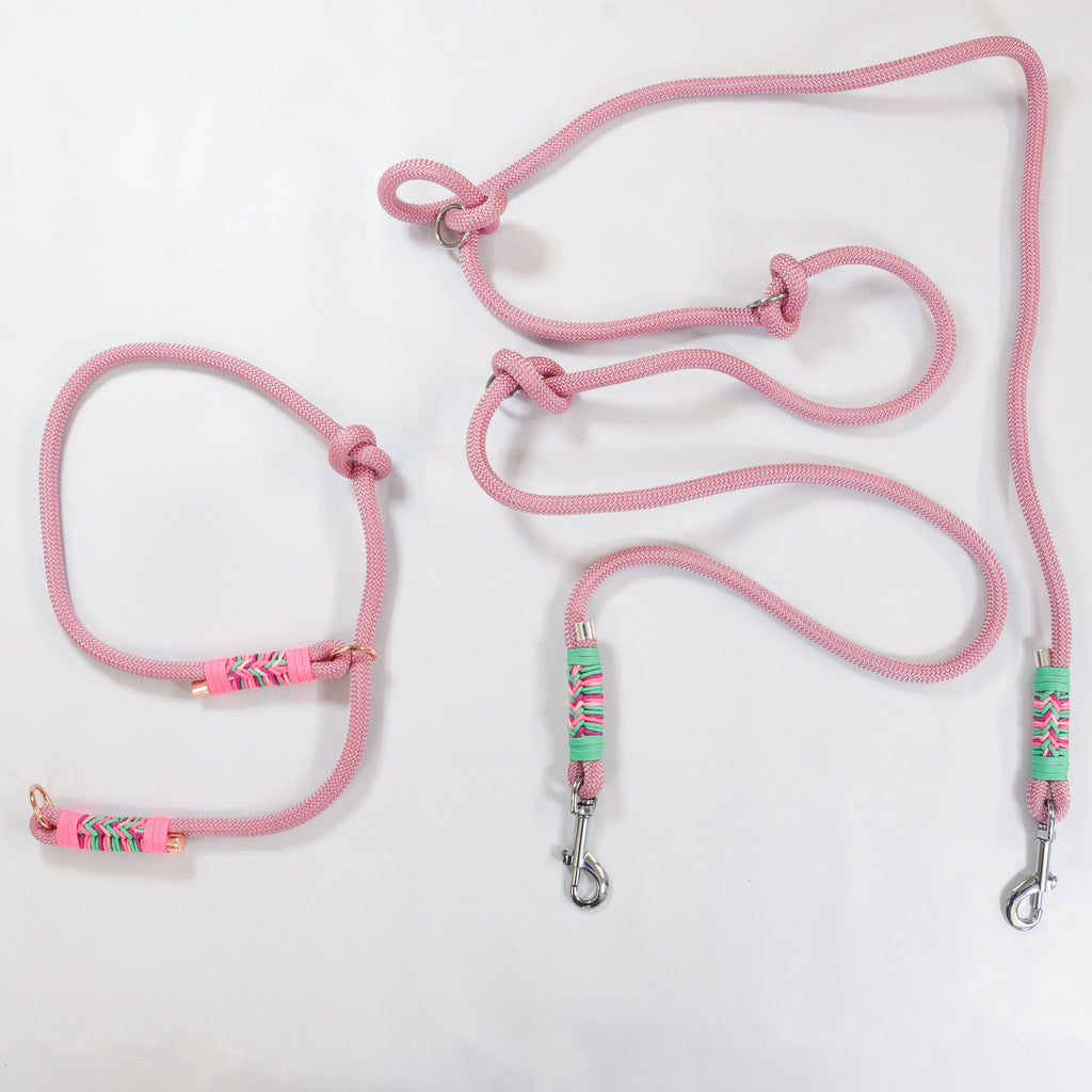 Duo Laisse Triple point + Collier "Madagascar"