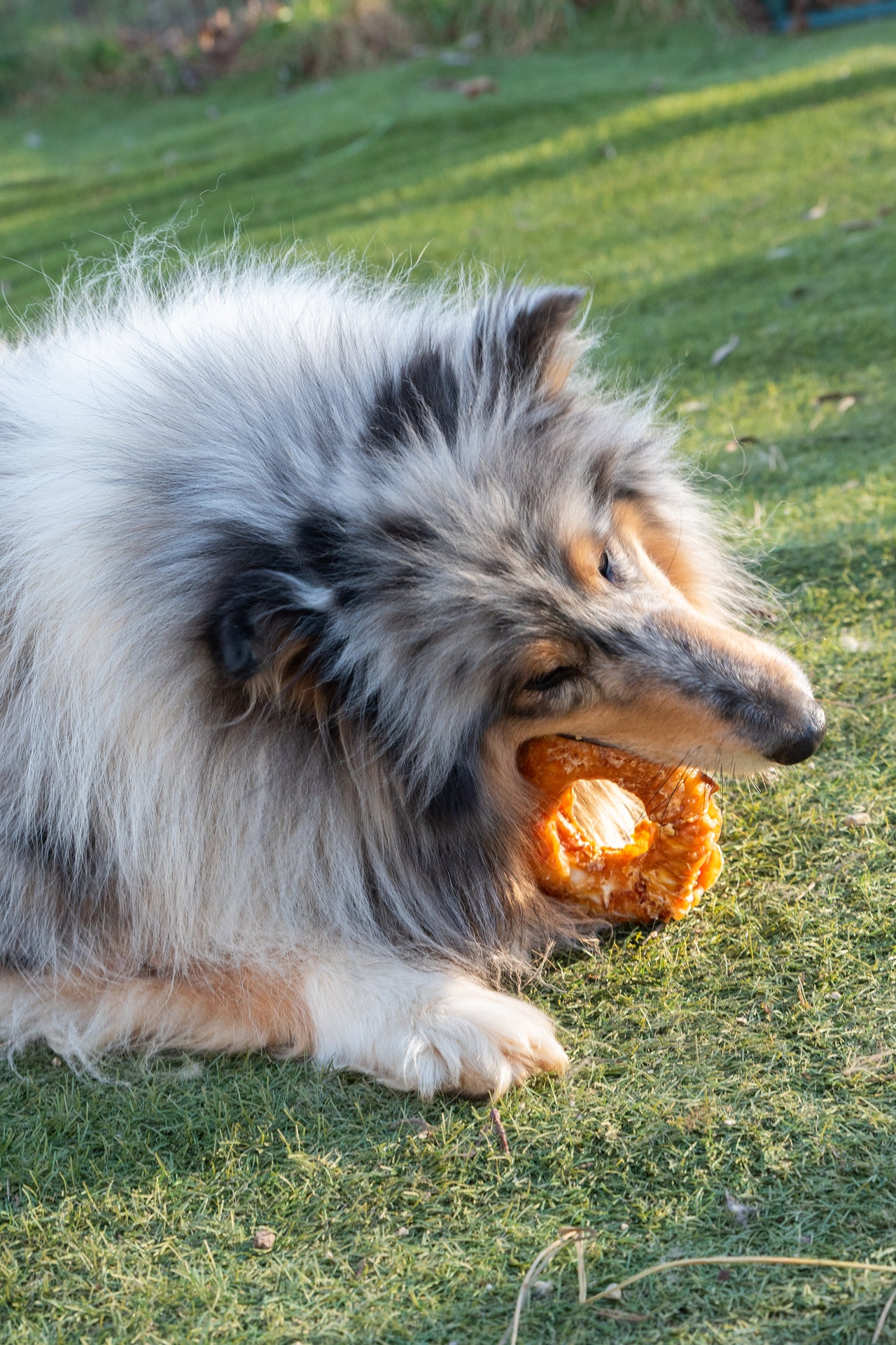 Donut de pattes de poulet