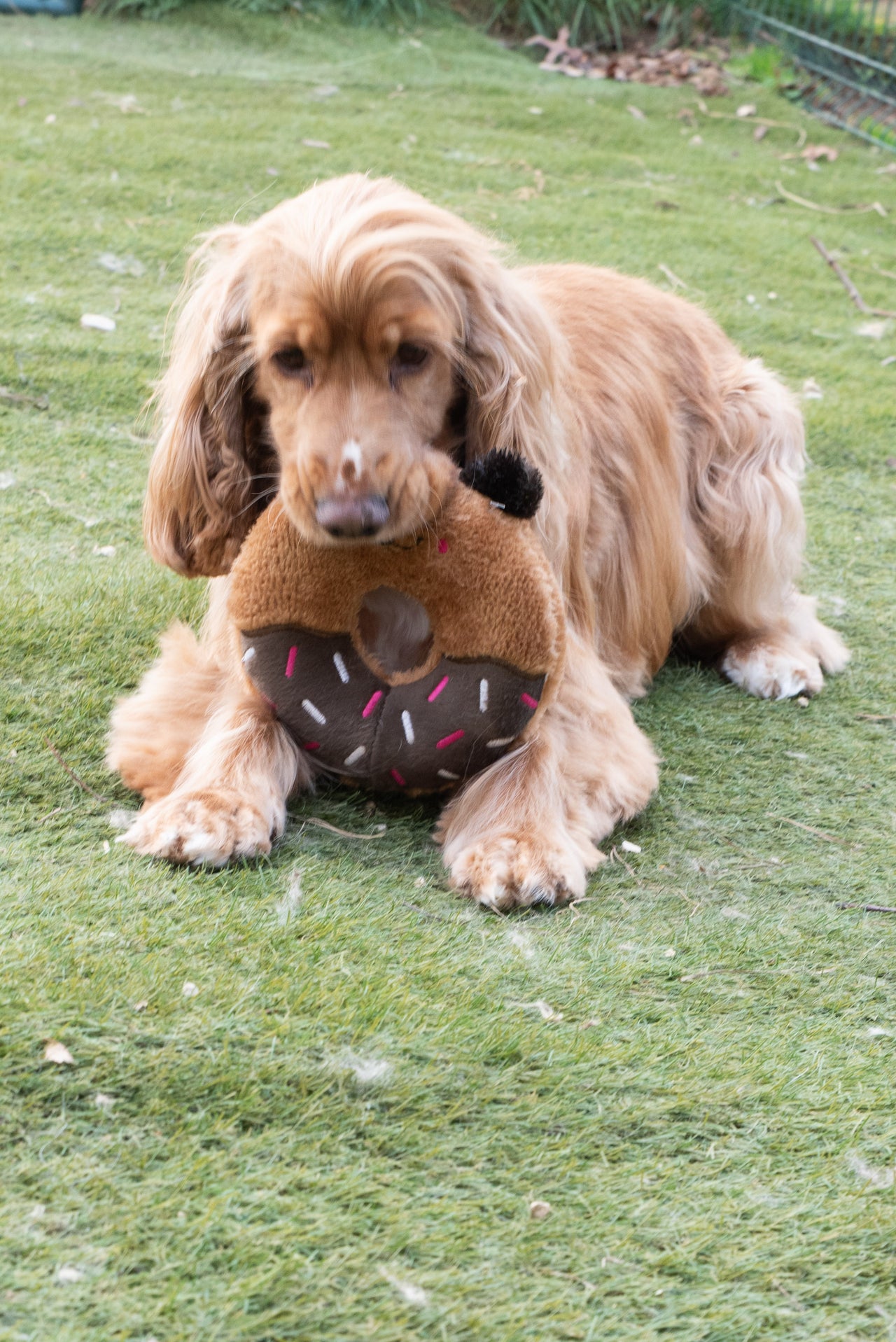 Donutz Buddies - Ours -