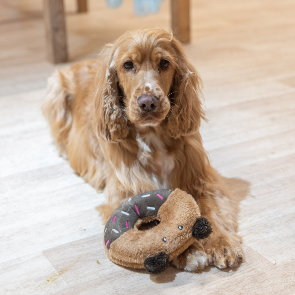 Donutz Buddies - Ours -