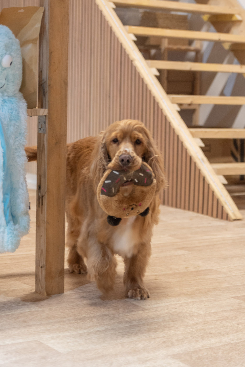 Donutz Buddies - Ours -