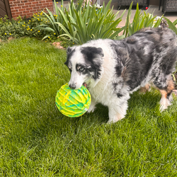 KONG Flexball Sport Ball XL