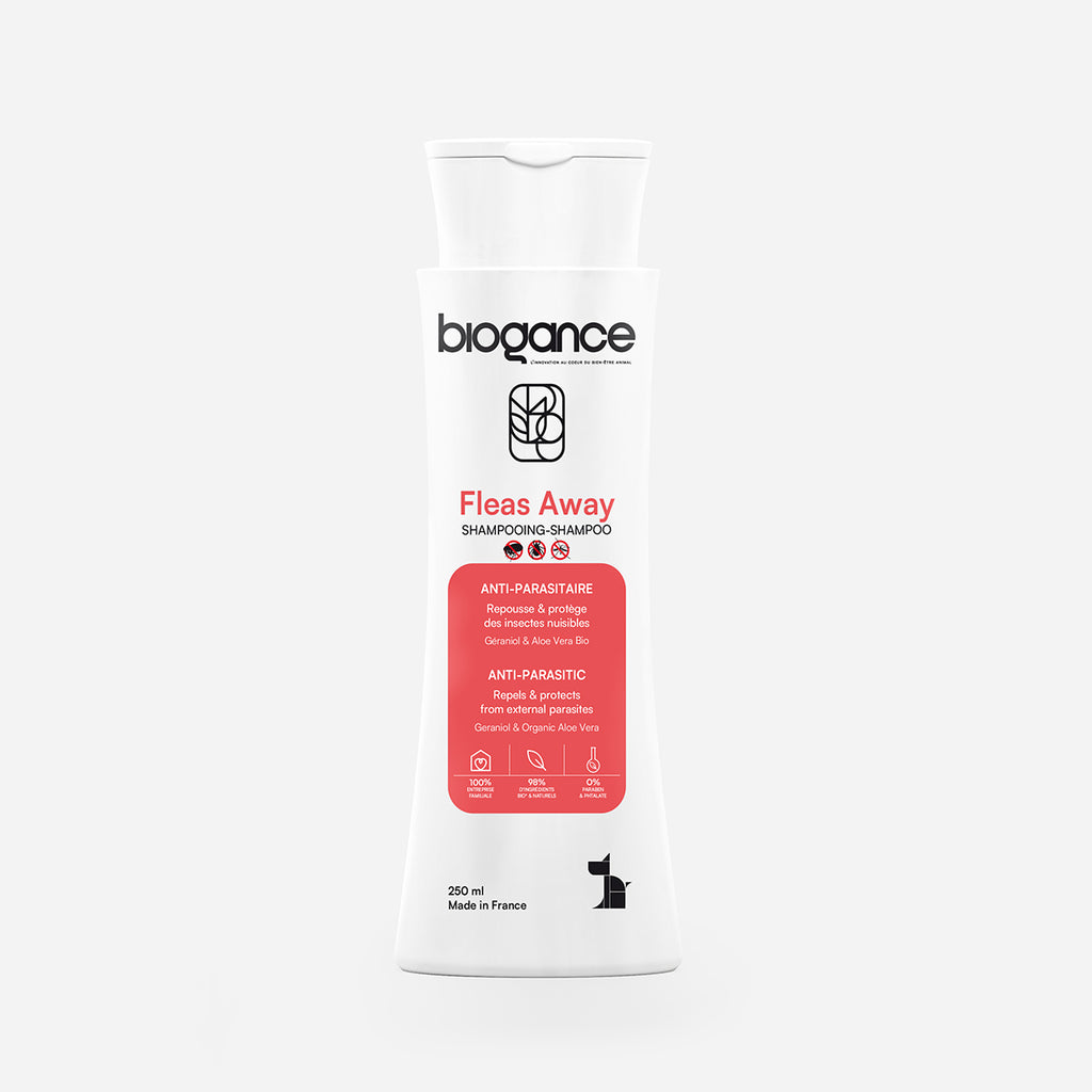 Shampooing Fleas Away