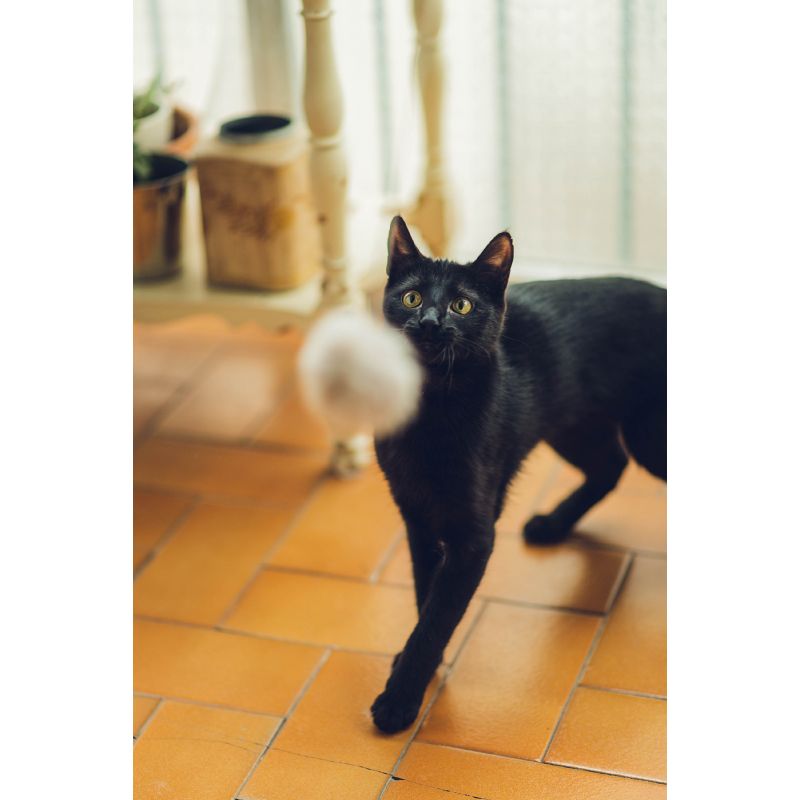 GAUDÍ – Canne à jouer avec Pompon Lapin