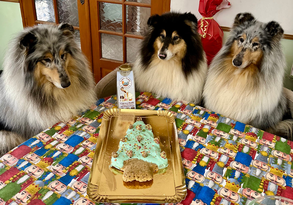 Gâteau en Boîte pour chiens poulet