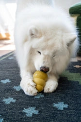 KONG Classic Gold