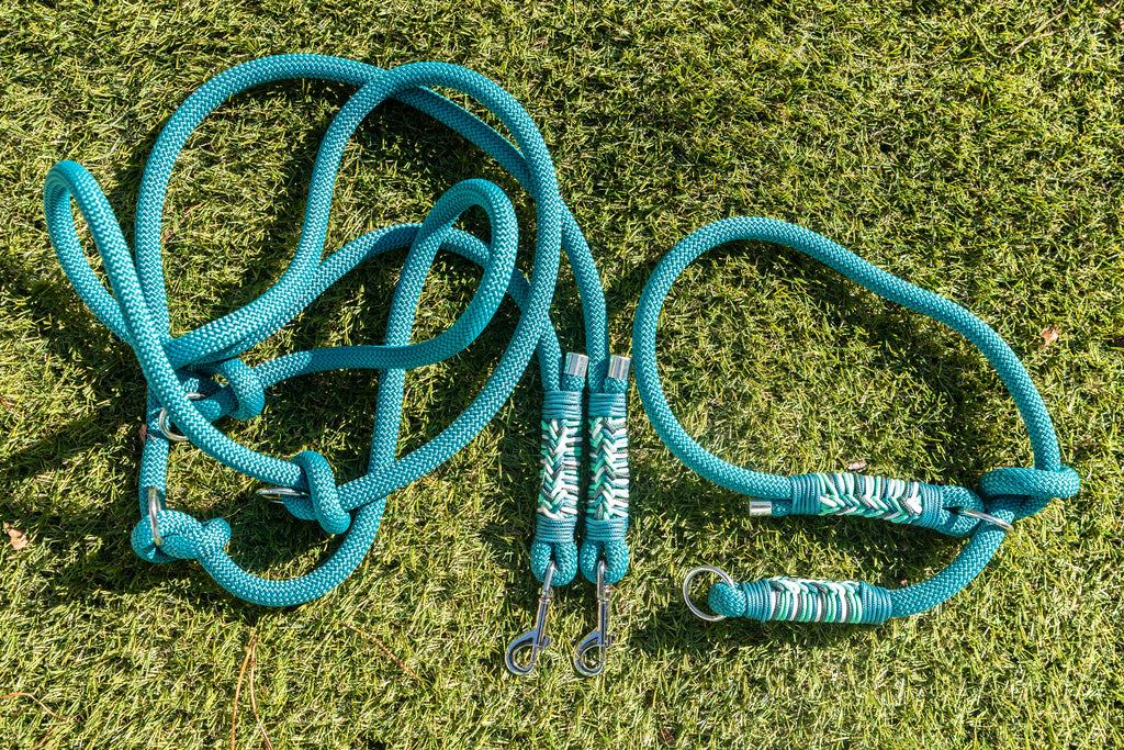 Duo Laisse Triple point + Collier Lasso Vert