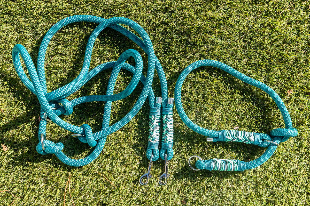 Duo Laisse Triple point + Collier Lasso Vert