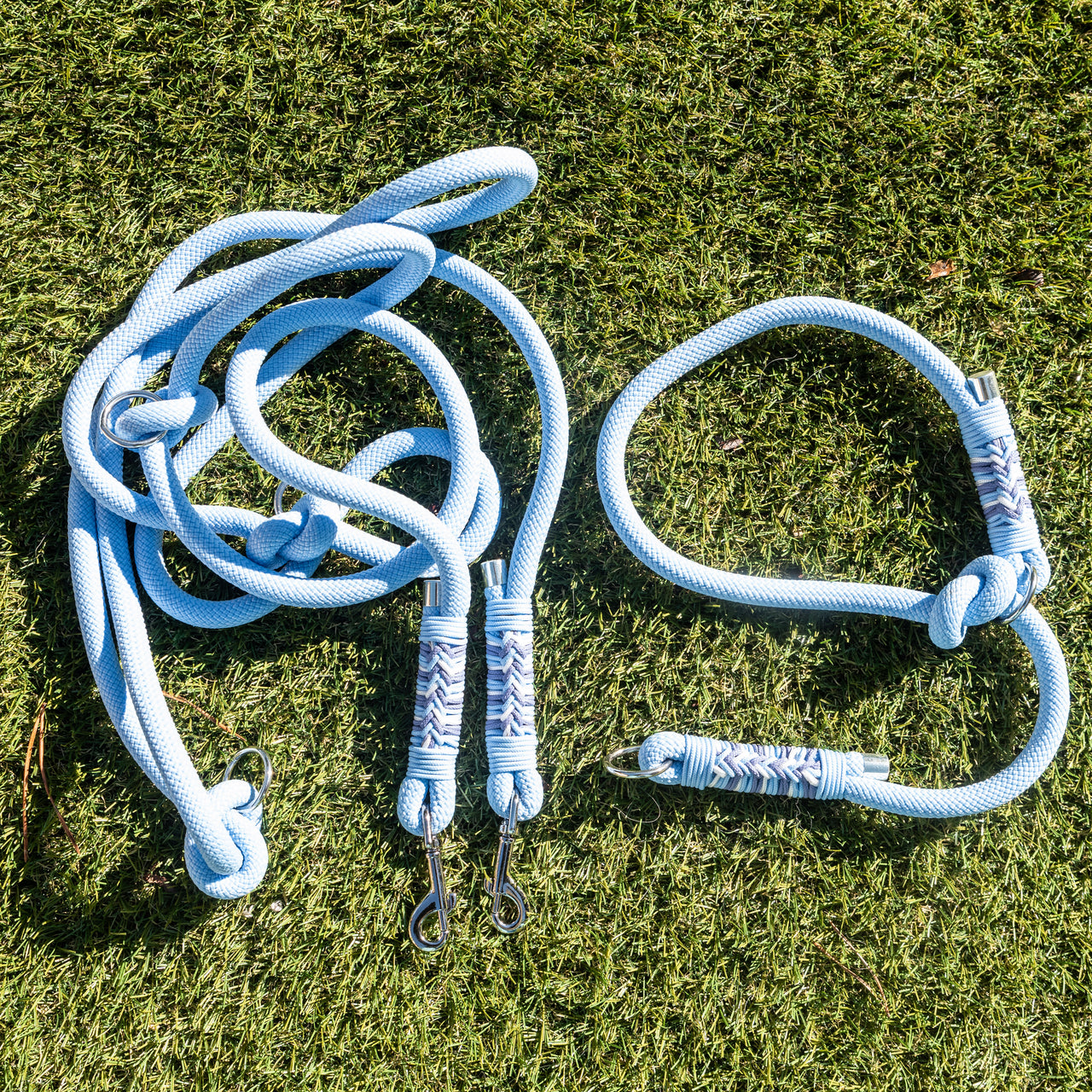 Duo Laisse Triple point + Collier Lasso Bleu