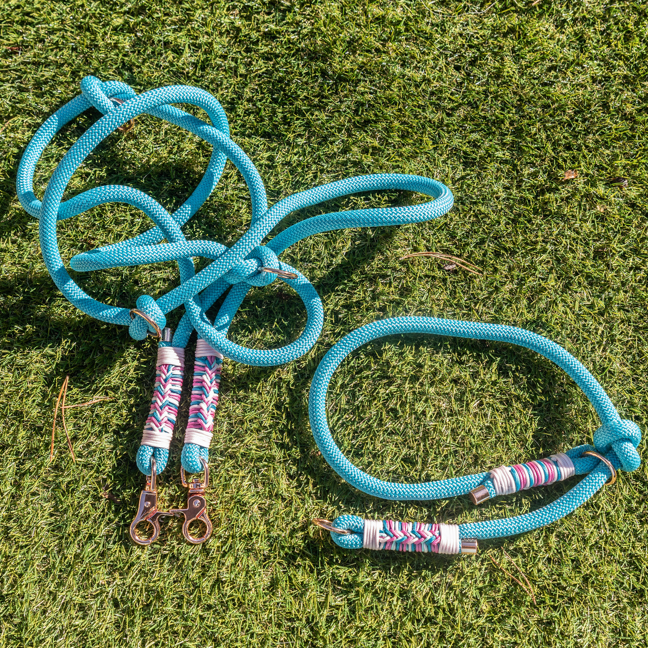 Duo Laisse Triple point + Collier Lasso Bleu et rose