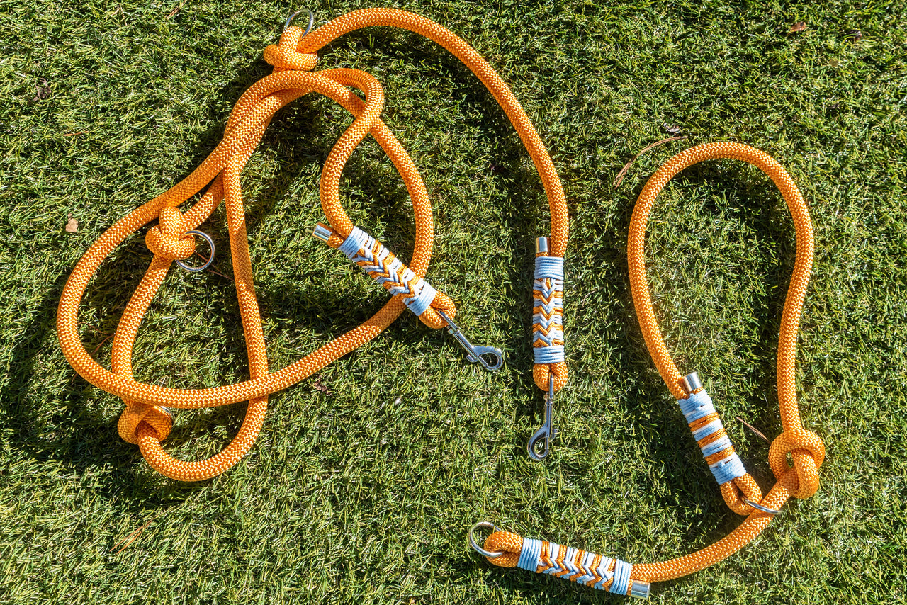 Duo Laisse Triple point + Collier Lasso Orange