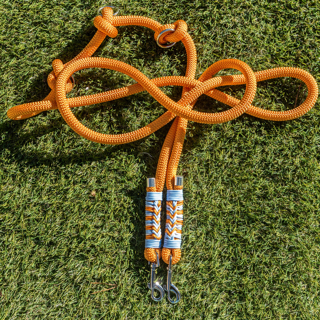 Laisse Triple point Orange