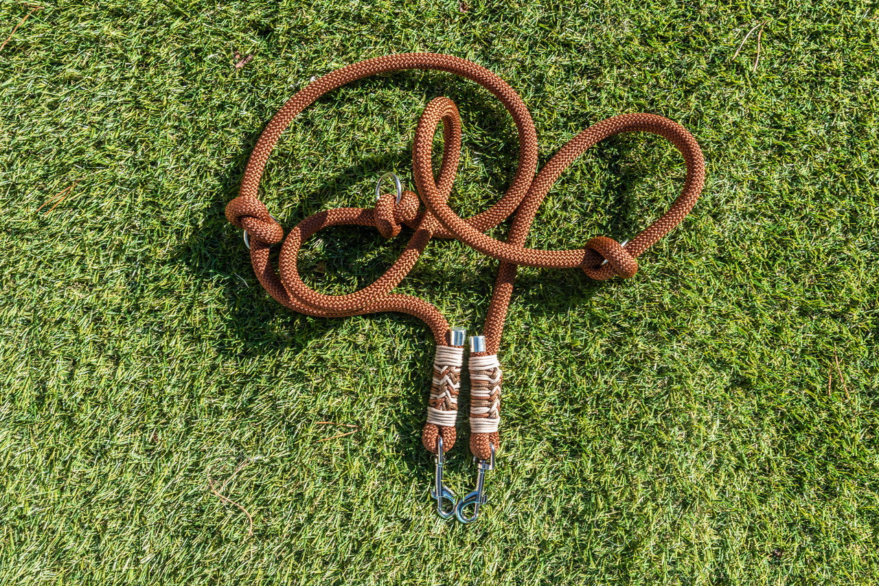 Duo Laisse Triple point + Collier Lasso Marron