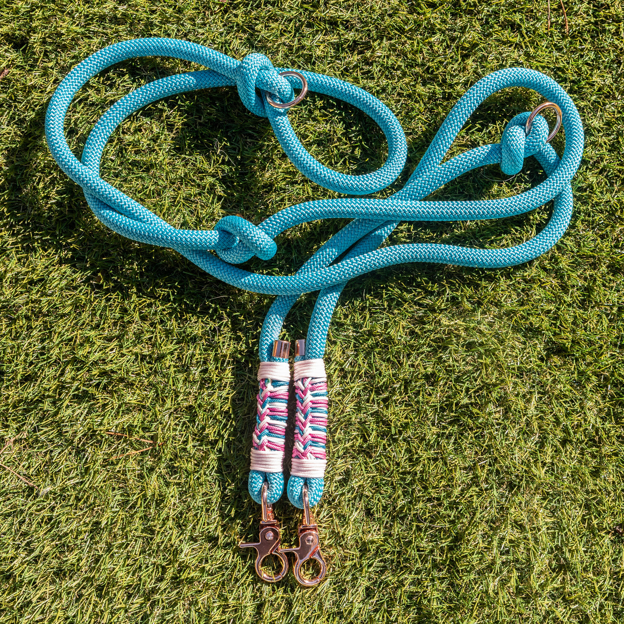 Laisse Triple point  Bleu et rose