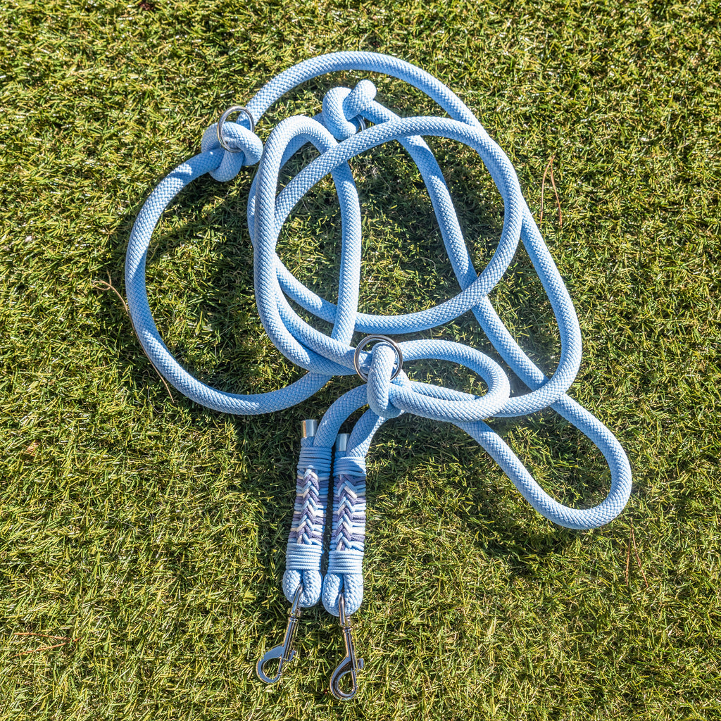 Laisse Triple point  Bleu