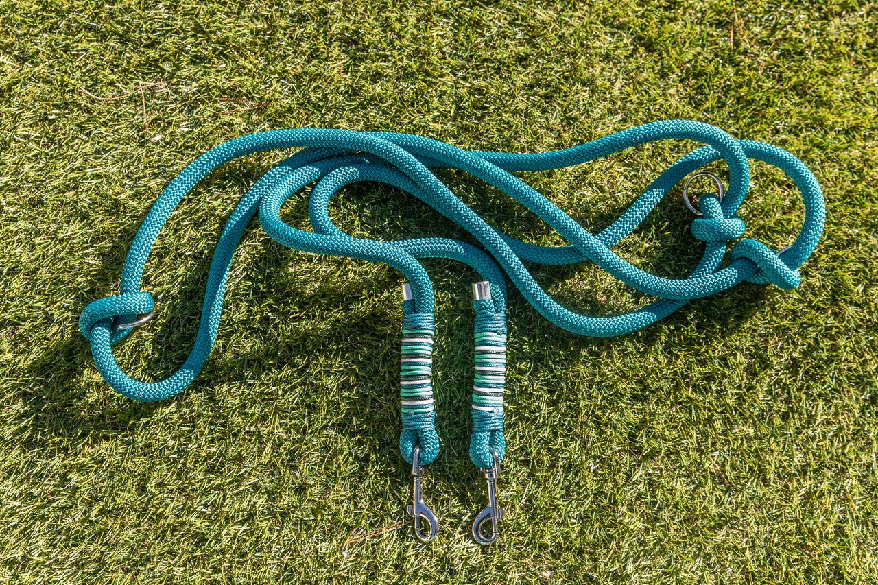 Duo Laisse Triple point + Collier Lasso Vert