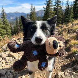 KONG Wild Knots Bear