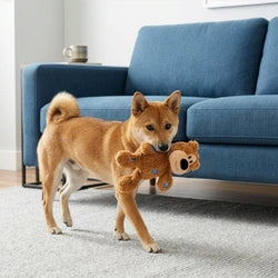 KONG Wild Knots Bear