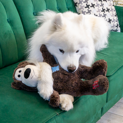 KONG Wild Knots Bear