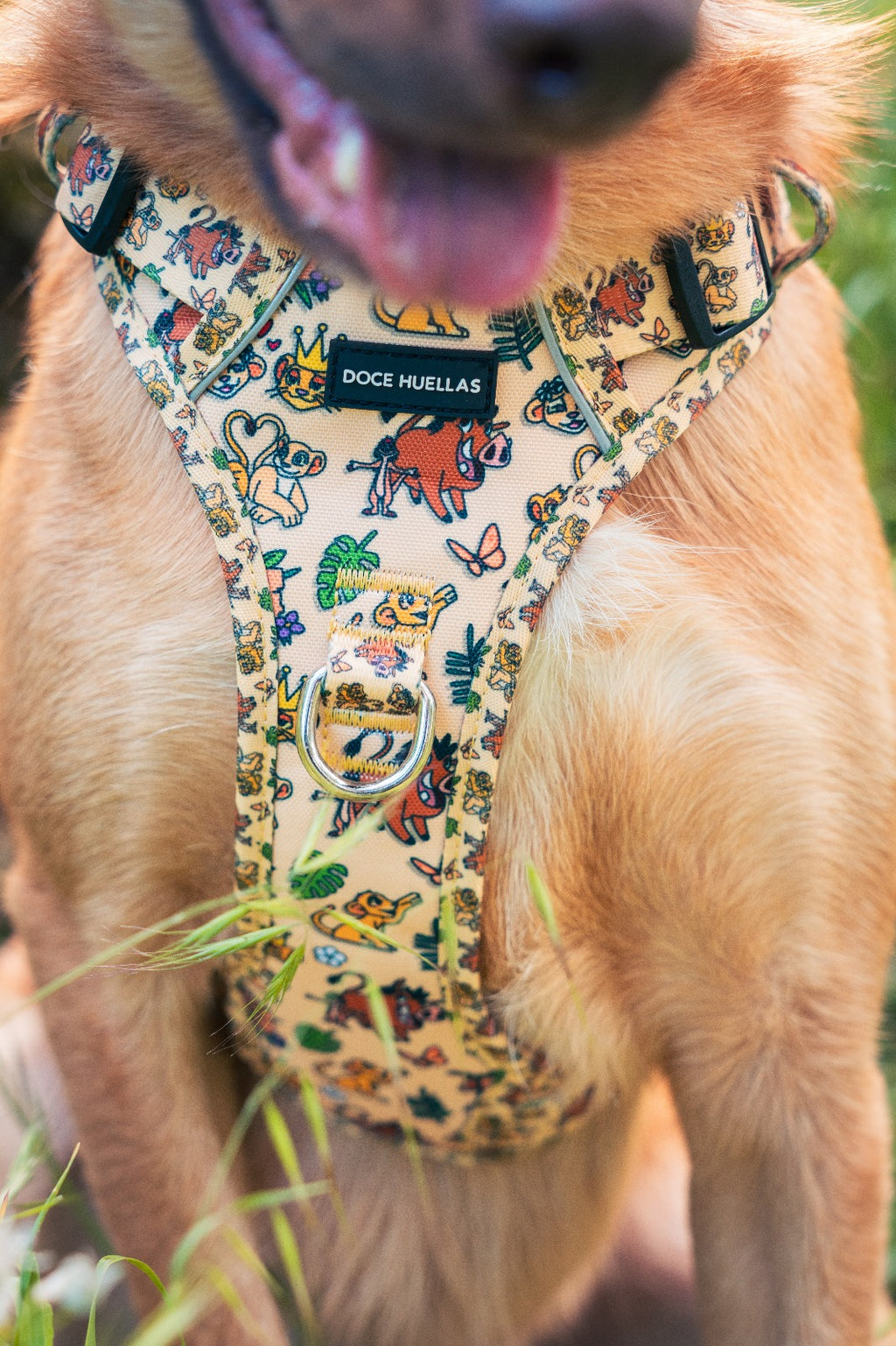 🦁 Harnais Force pour chien – Édition spéciale “Hakuna Matata”