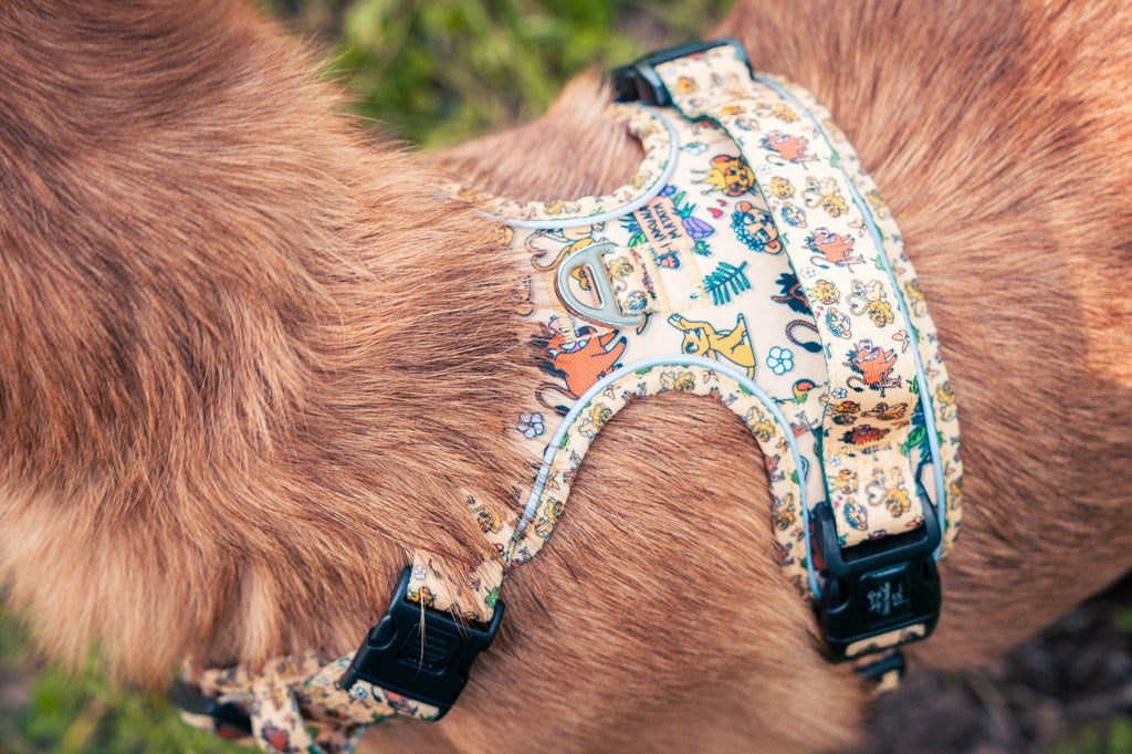 🦁 Harnais Force pour chien – Édition spéciale “Hakuna Matata”
