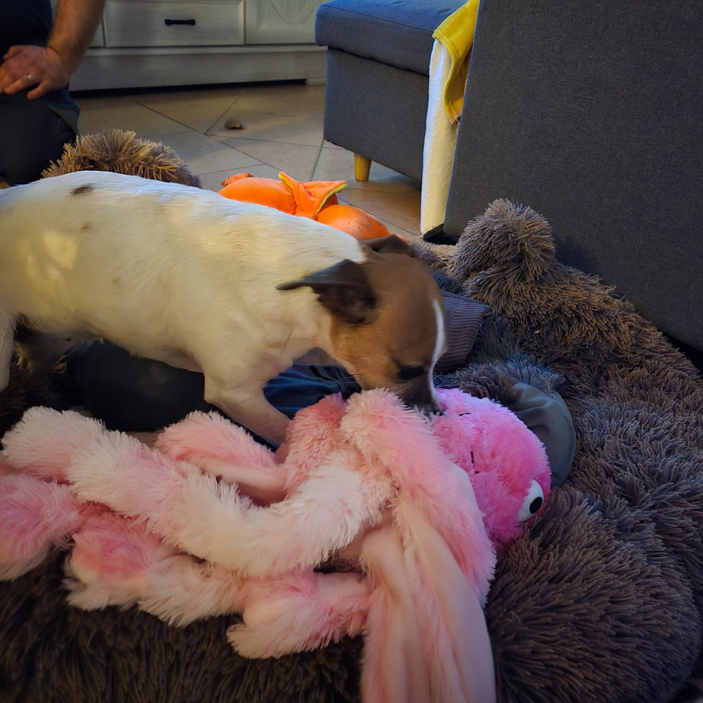 Peluche pieuvre 63cm