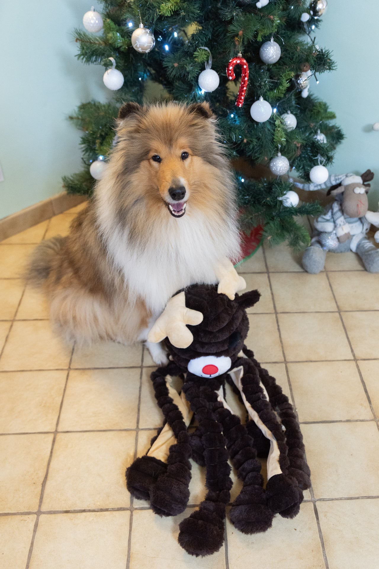 Renne "poulpe" de Noël