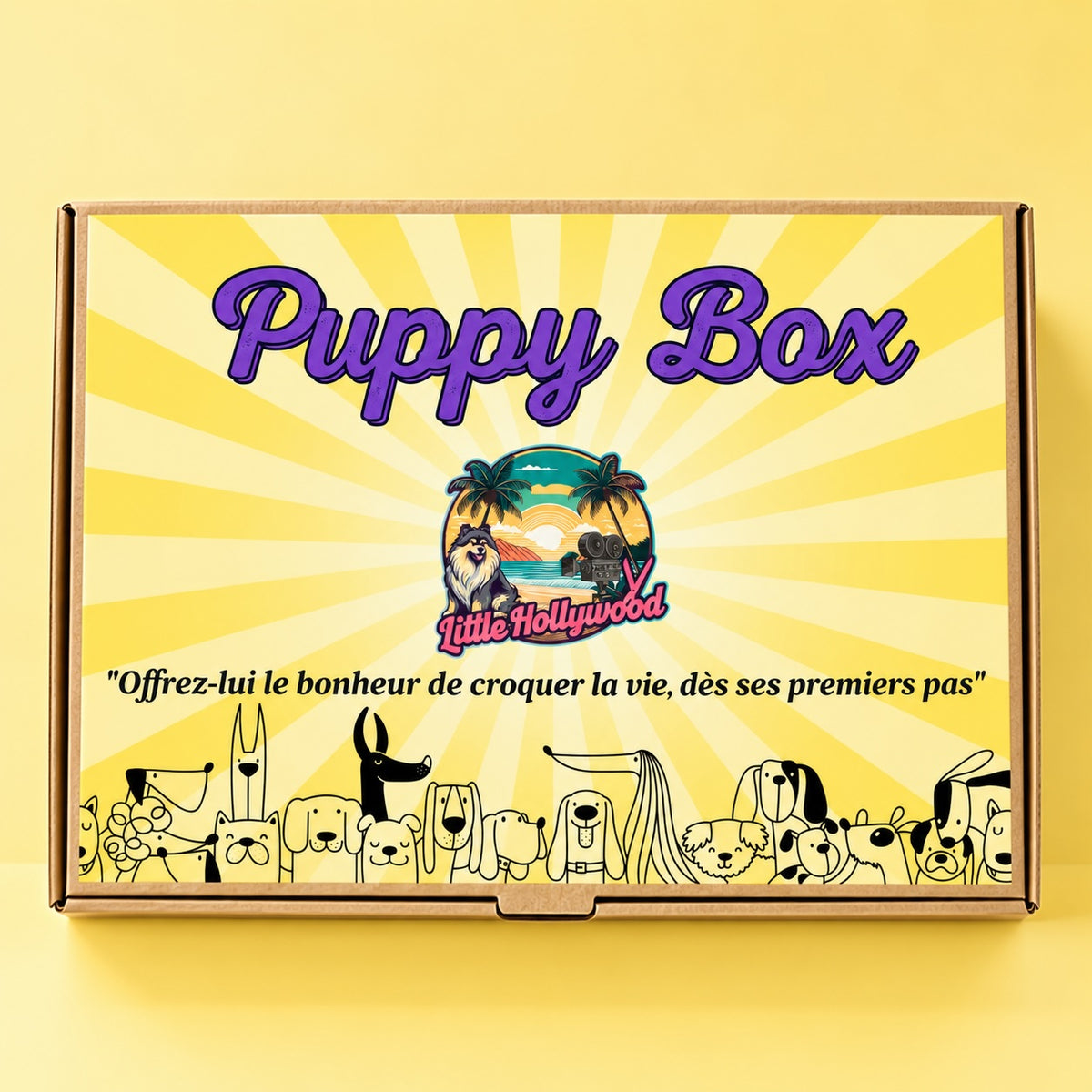Box découverte Mastication Chiot