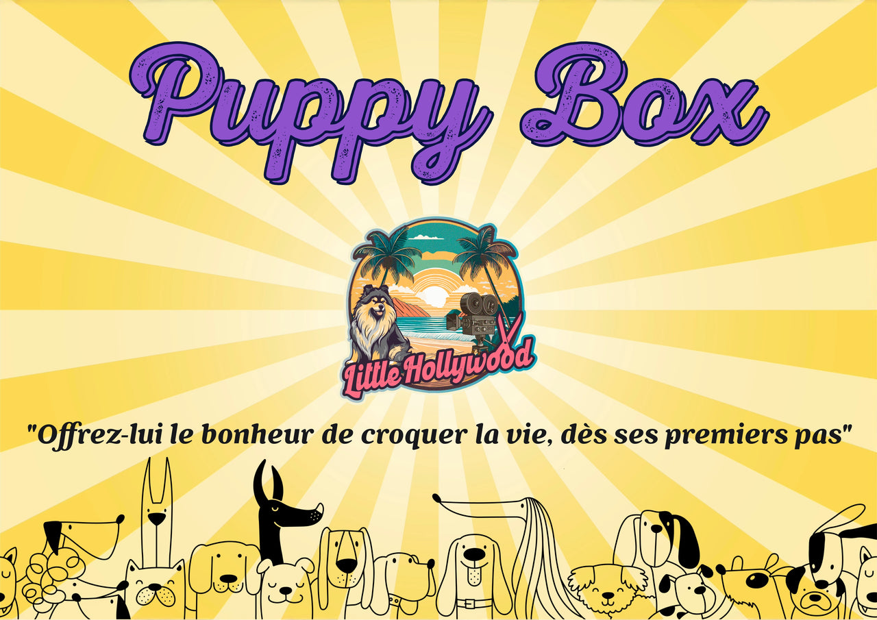 Puppy Box 🐶
