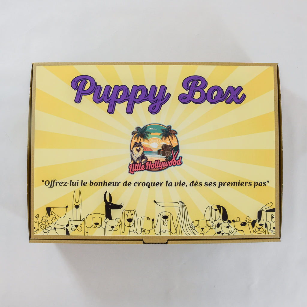 Box découverte Mastication Chiot