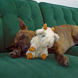 KONG Comfort Tykes Goat