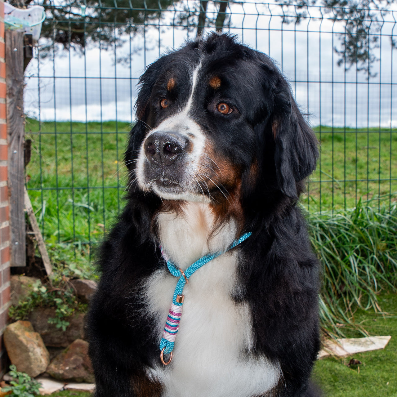 Collier Lasso Bleu et Rose