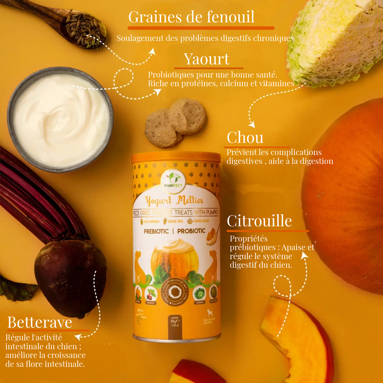 Friandises Yogurt Melties avec Citrouille, Betterave, Chou & Graines de Fenoui 🎃🥬
