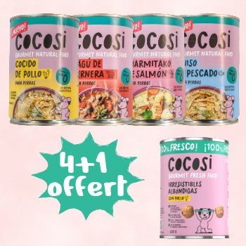PROMO 4+1 Découverte Cocosi
