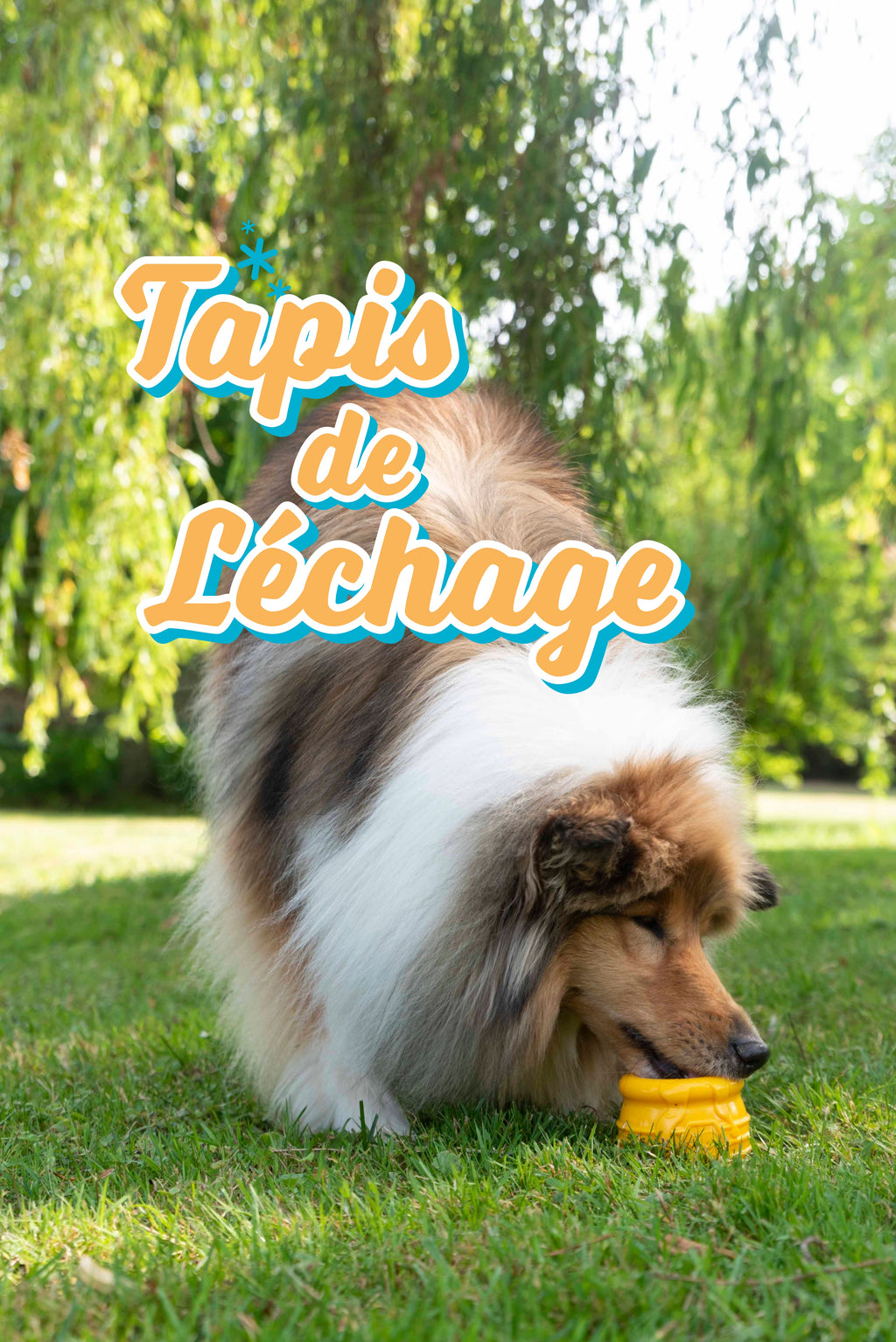 Distributeur de friandises Pot de miel Jaune