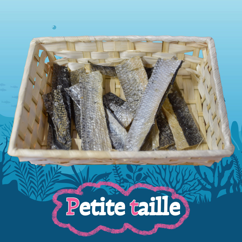 Peau de saumon 70g