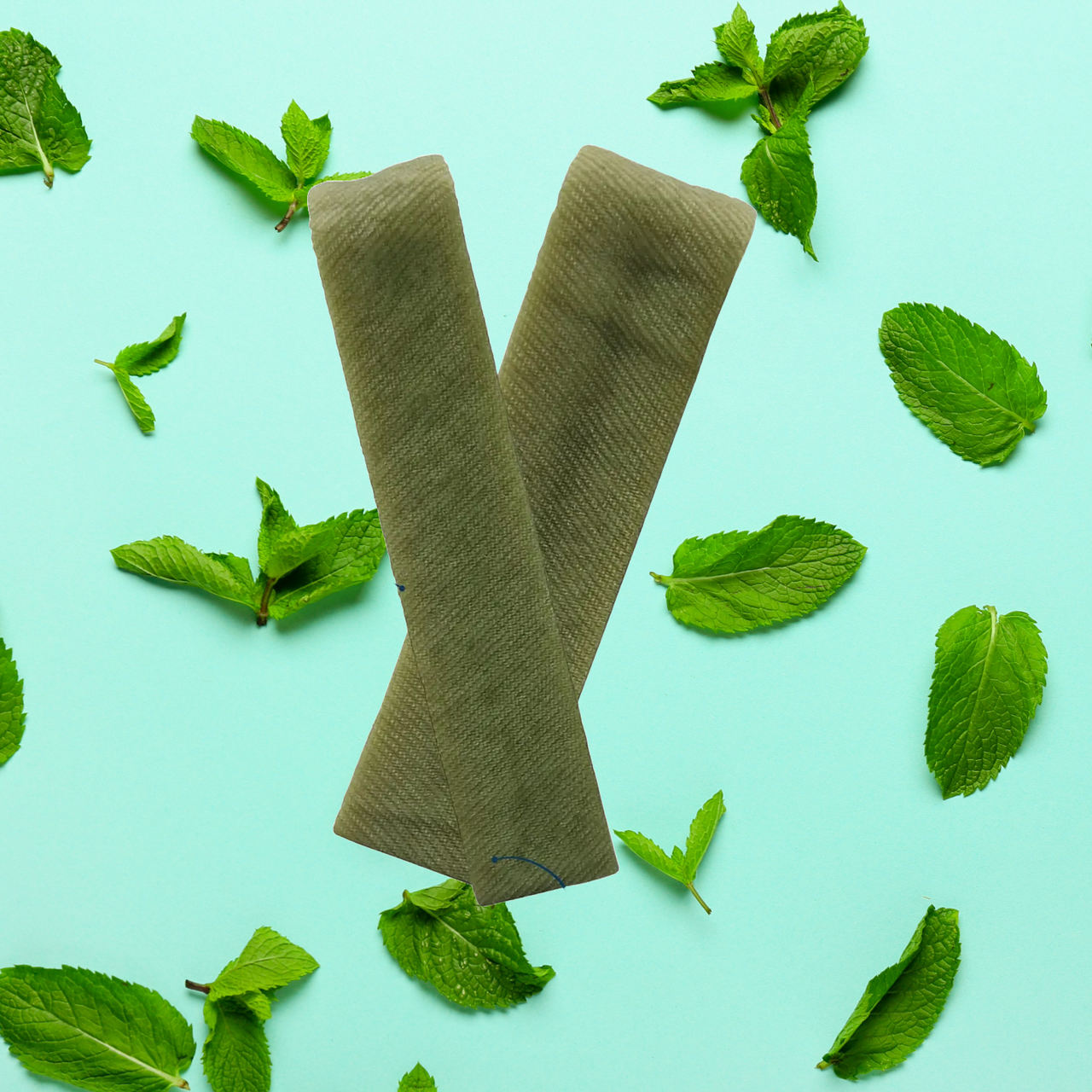Bâtonnet au fromage de Yak Menthe taille S