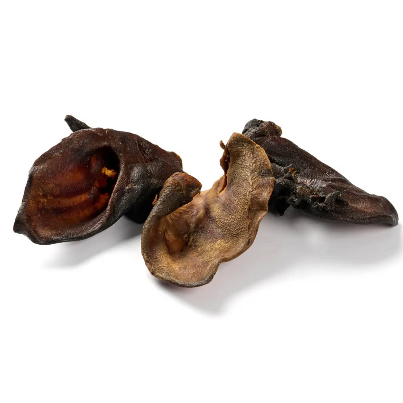 Oreille de sanglier
