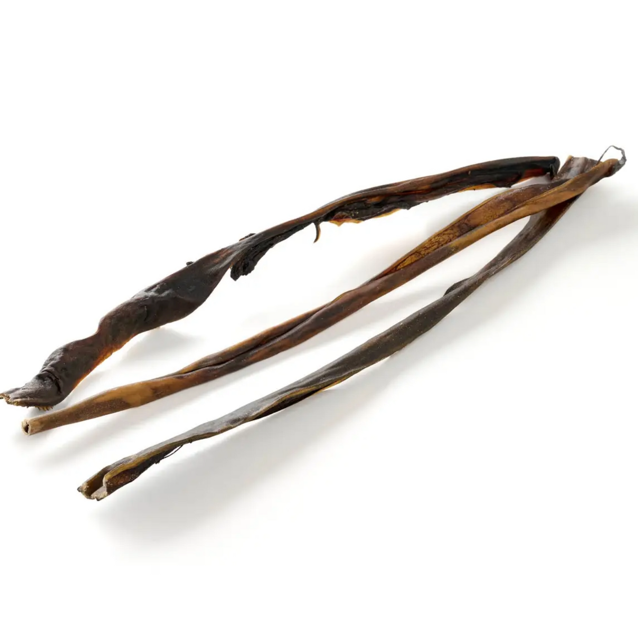 Peau de chevreuil 50-70 cm, roulée